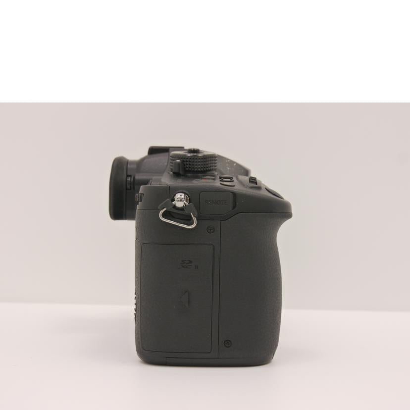 Panasonic パナソニック/ミラーレス一眼/LUMIX DC-GH5 /LUMIX DC-GH5 //WH7EB001131/ABランク/75