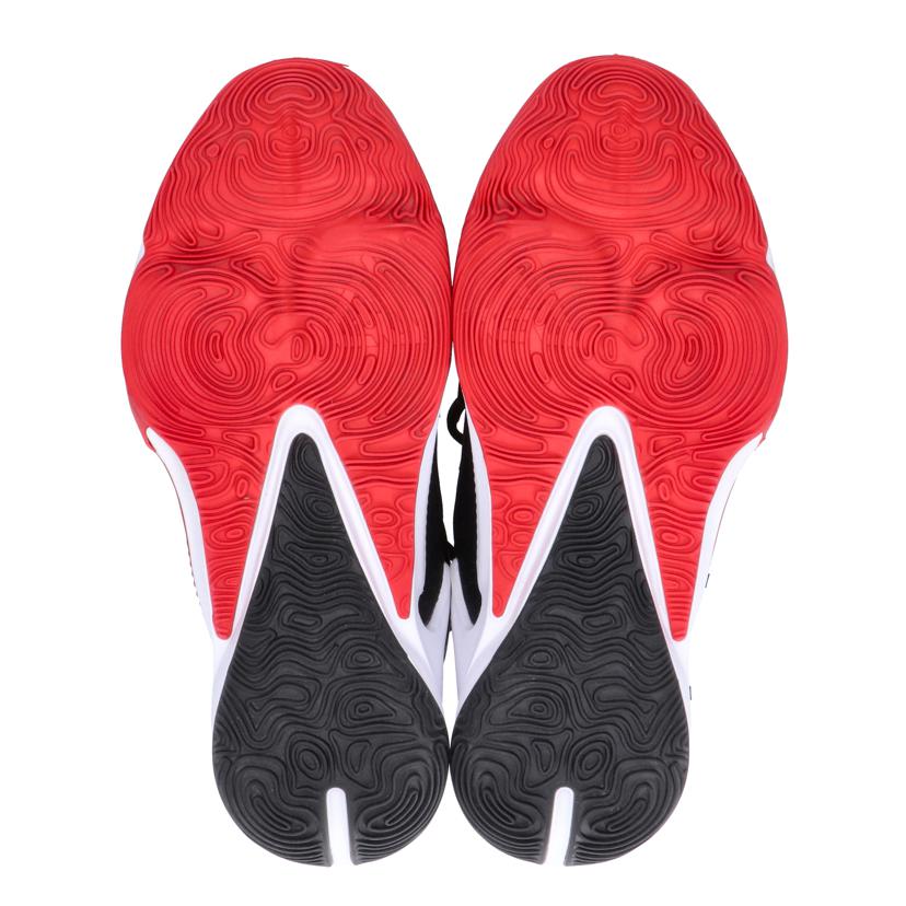 NIKE ナイキ/ズームフリーク3/DA0694-003//28.0cm/Bランク/75