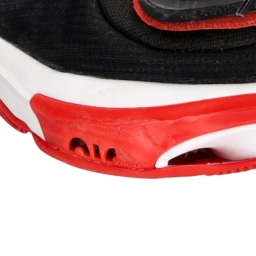 NIKE ナイキ/ズームフリーク3/DA0694-003//28.0cm/Bランク/75