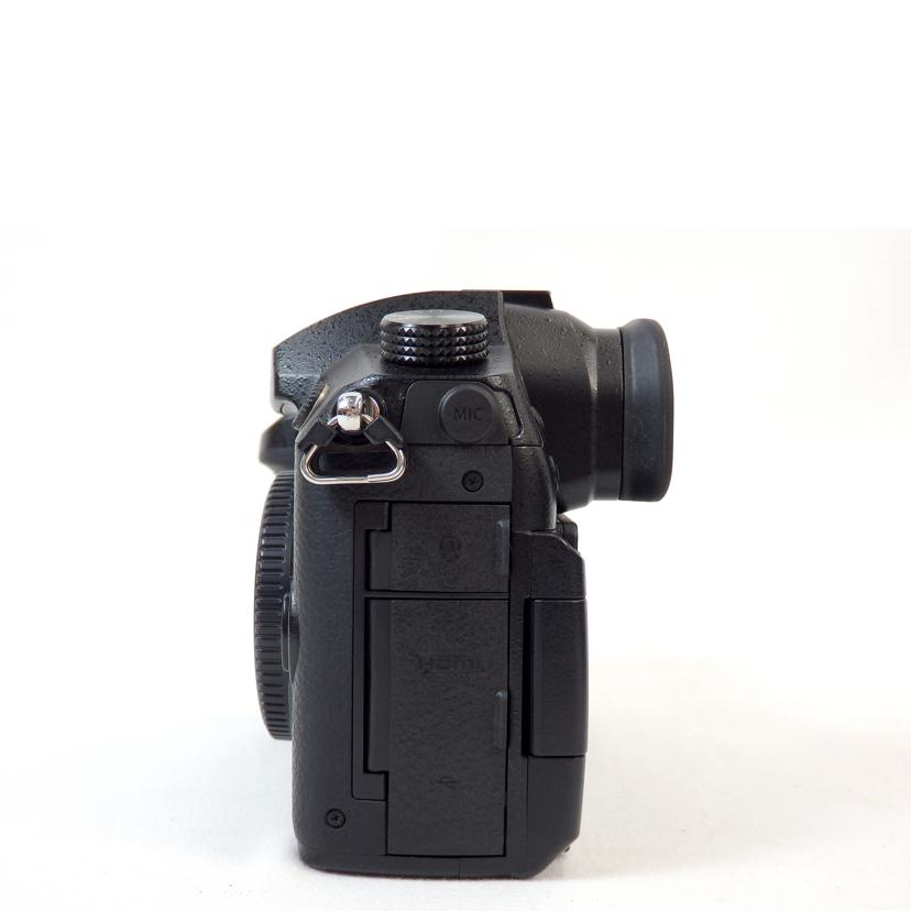 Panasonic パナソニック/ミラーレス一眼/DC-GH5/DC-GH5//WH7EB003605/ABランク/72