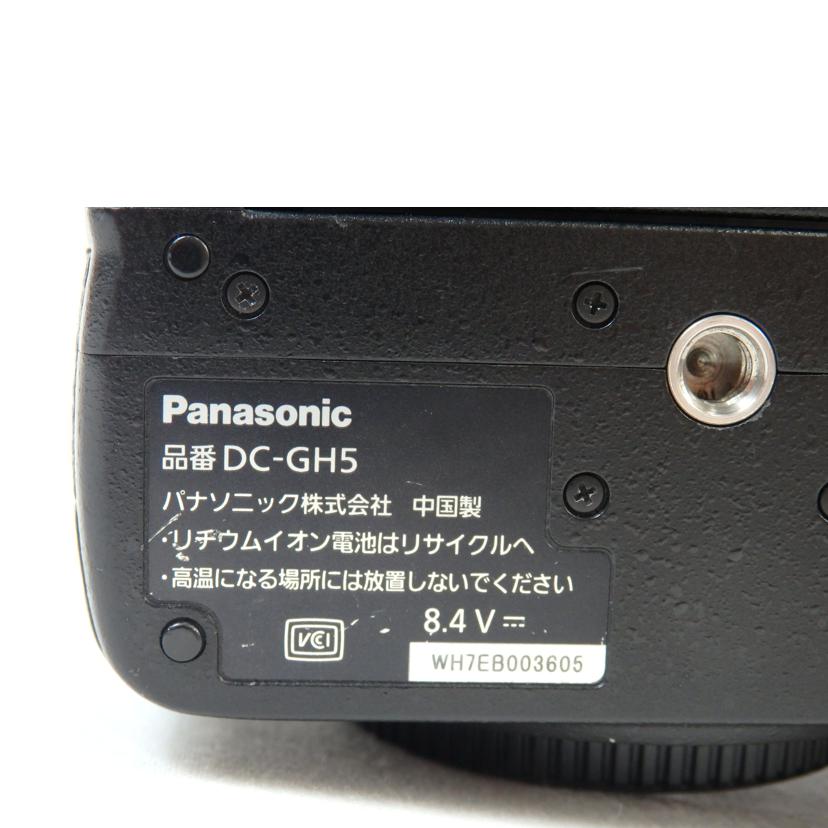 Panasonic パナソニック/ミラーレス一眼/DC-GH5/DC-GH5//WH7EB003605/ABランク/72