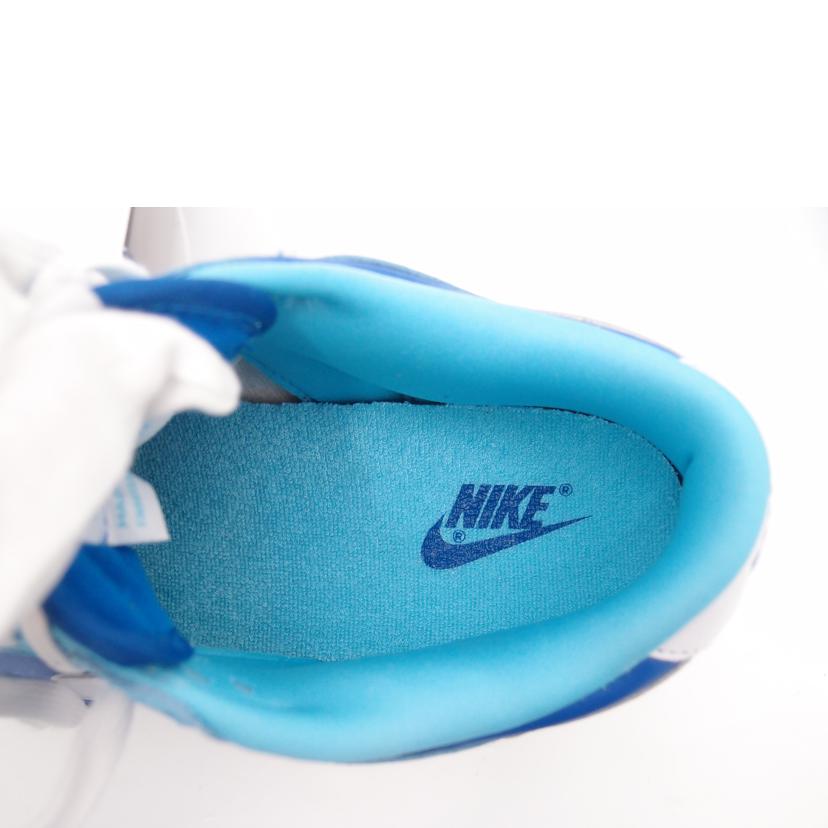 NIKE ナイキ/NIKE DUNK LOW RETRO/DM0121-400//Sランク/69