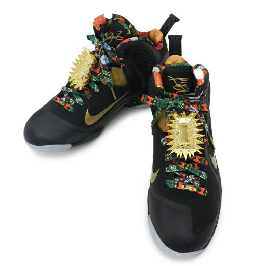 NIKE ナイキ/NIKE LEBRON 9/DO9353-001//Aランク/69