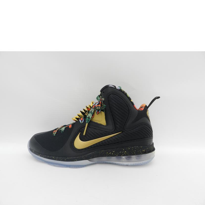 NIKE ナイキ/NIKE LEBRON 9/DO9353-001//Aランク/69