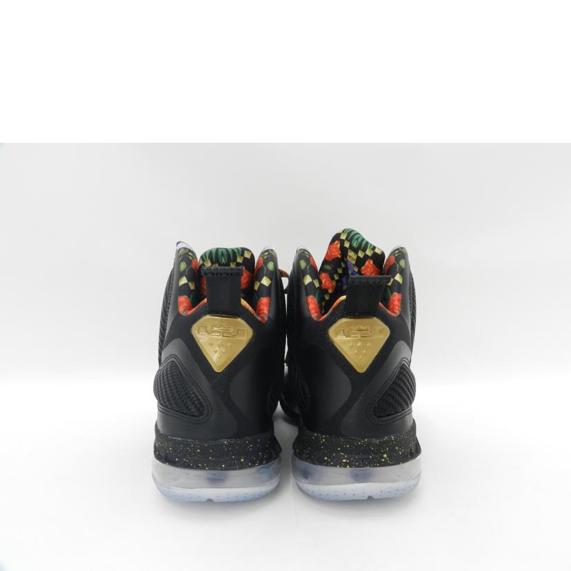 NIKE ナイキ/NIKE LEBRON 9/DO9353-001//Aランク/69
