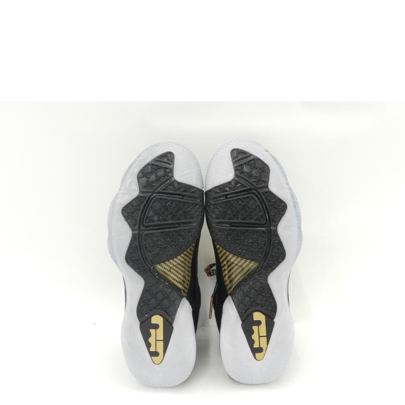 NIKE ナイキ/NIKE LEBRON 9/DO9353-001//Aランク/69