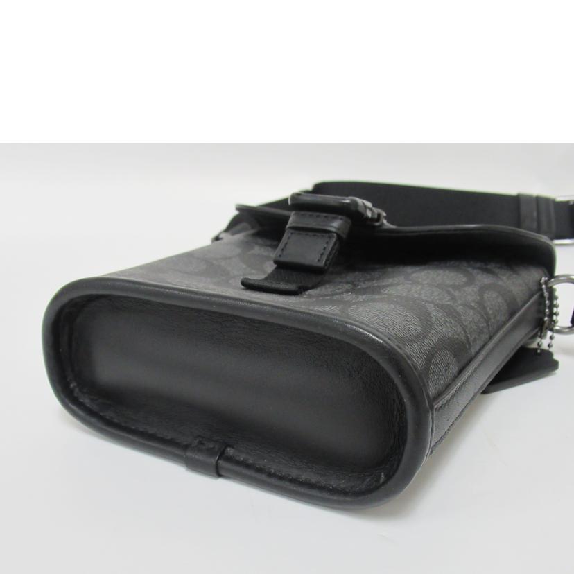 COACH/ショルダーバッグ/シグネチャー/C3134//B2280/ABランク/63