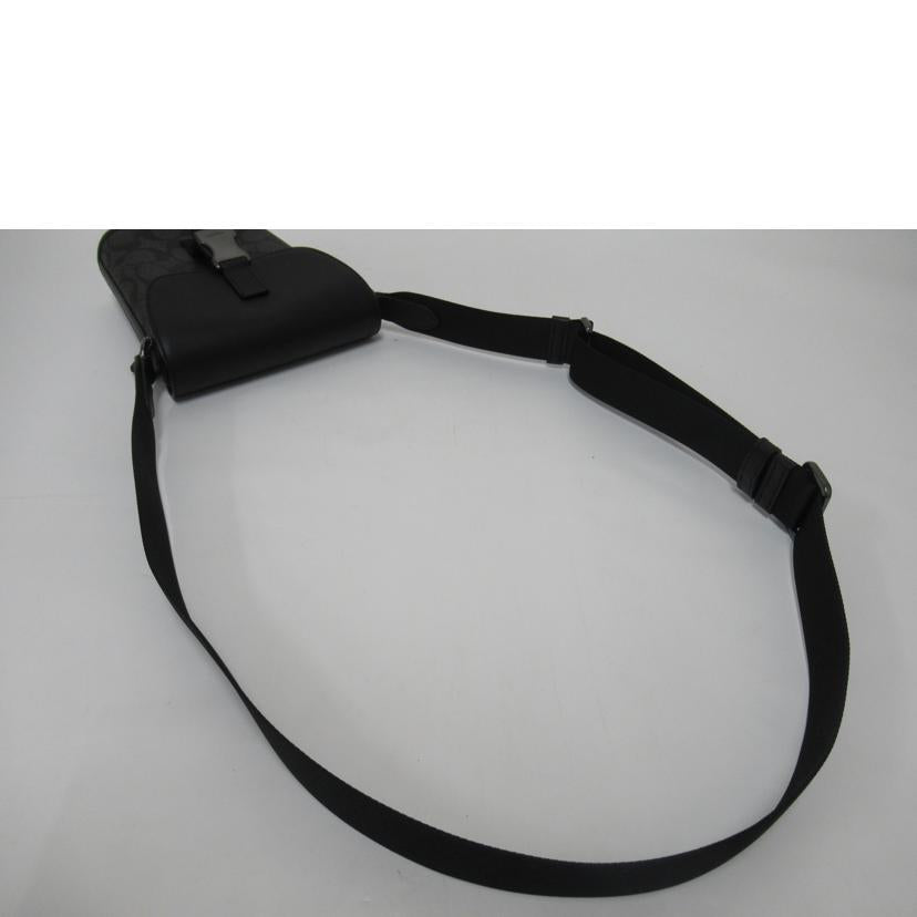 COACH/ショルダーバッグ/シグネチャー/C3134//B2280/ABランク/63