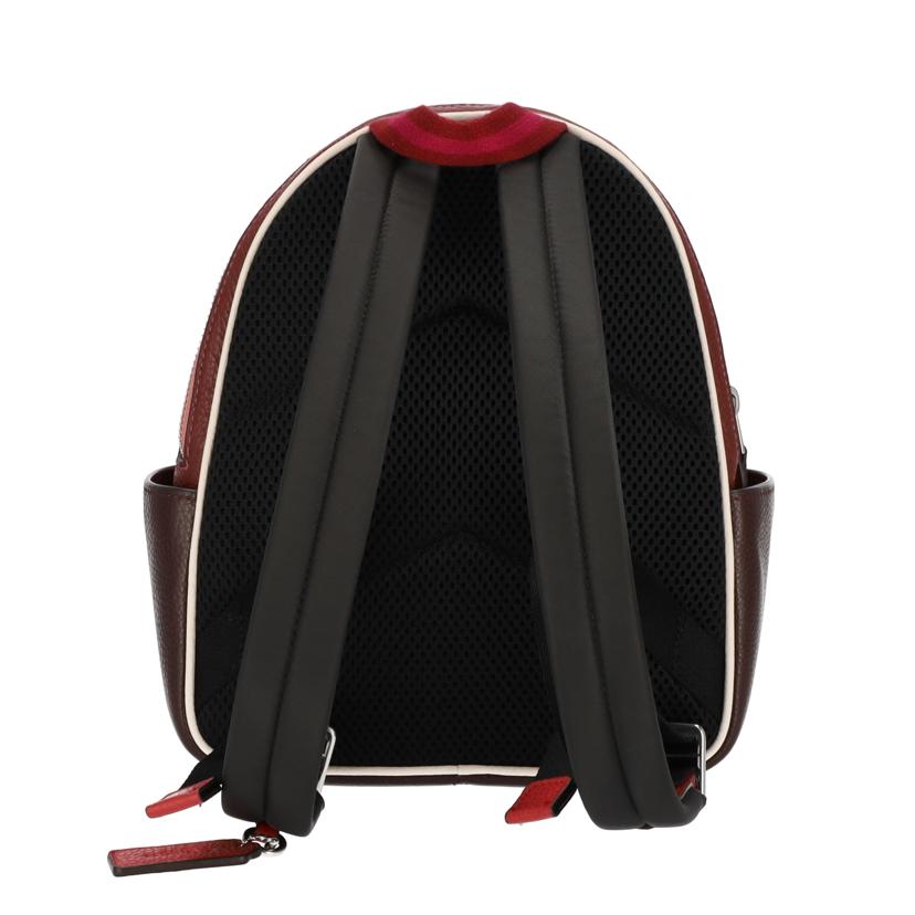 COACH コーチ/スキー バックパック/CF380//J2281/Aランク/75