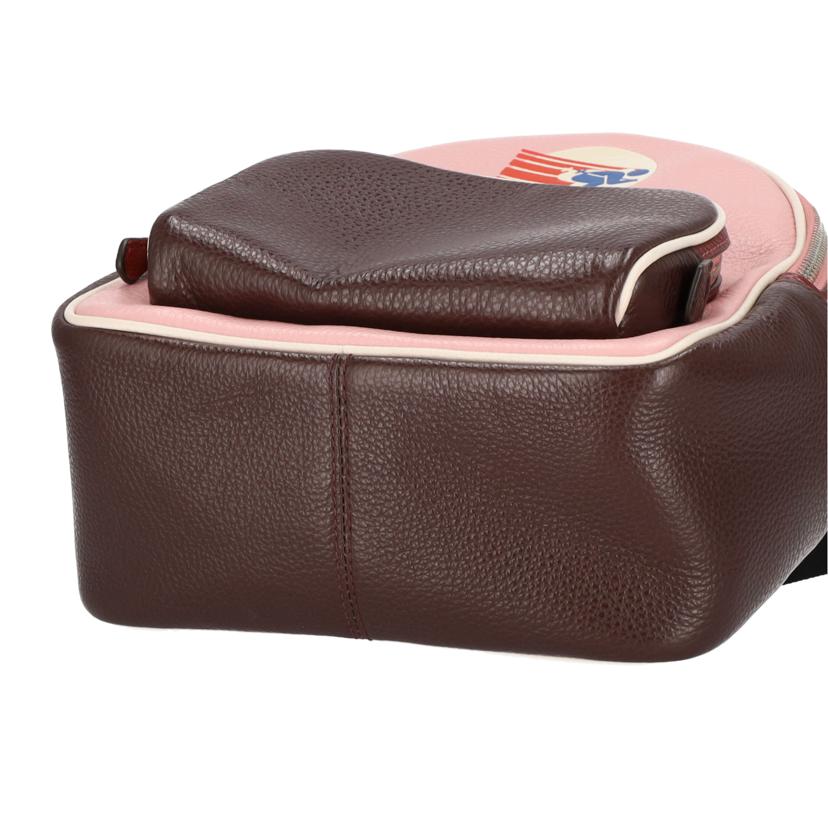 COACH コーチ/スキー バックパック/CF380//J2281/Aランク/75