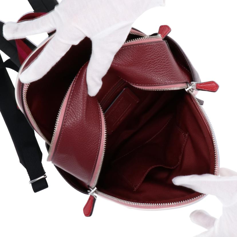 COACH コーチ/スキー バックパック/CF380//J2281/Aランク/75