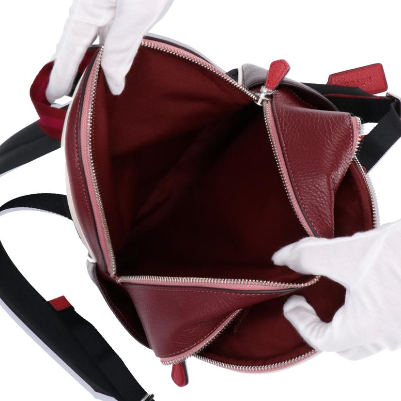 COACH コーチ/スキー バックパック/CF380//J2281/Aランク/75