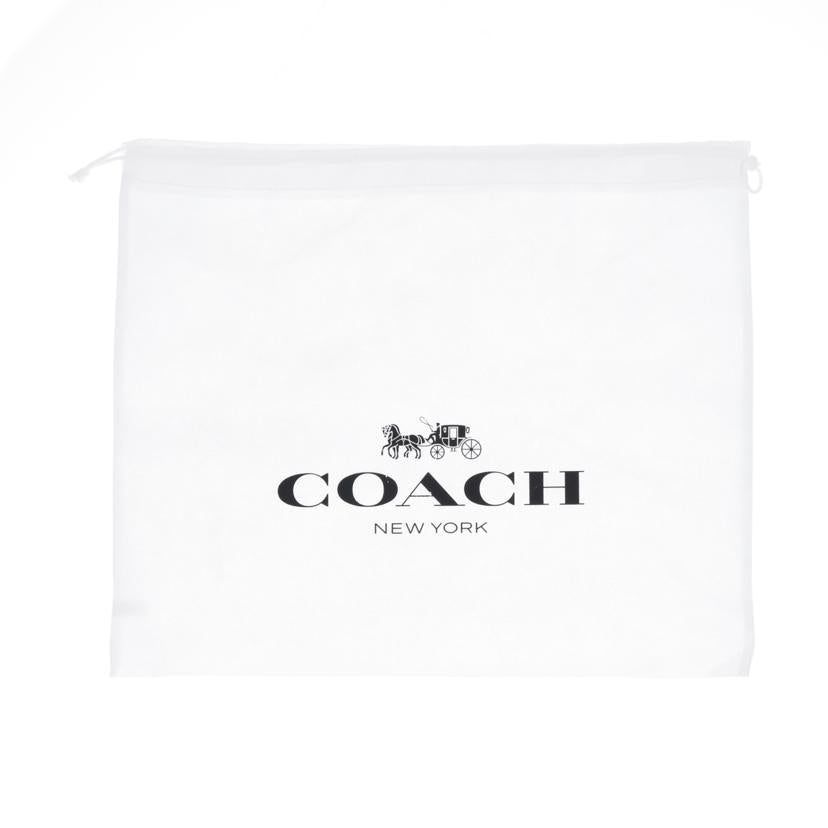 COACH コーチ/スキー バックパック/CF380//J2281/Aランク/75