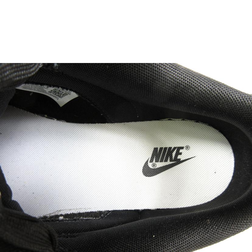 NIKE ナイキ/NIKE DUNK LOW RETRO/DD1391-100//ABランク/70