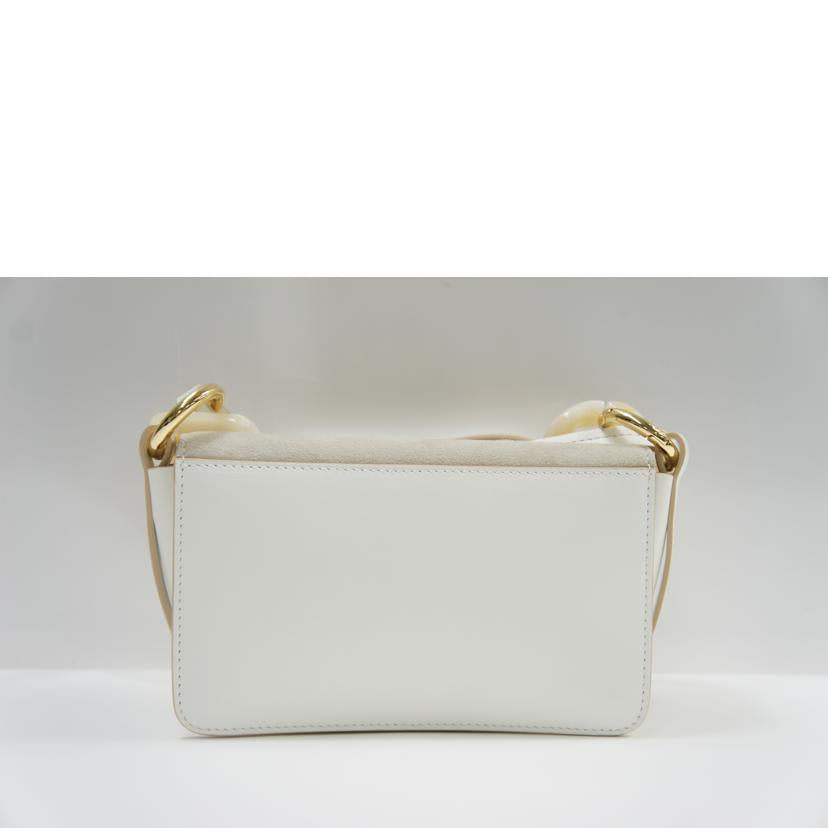 CAROLINA SANTO DOMINGO カロリーナサントドミンゴ/2WAYミニショルダーバッグ//ABランク/75