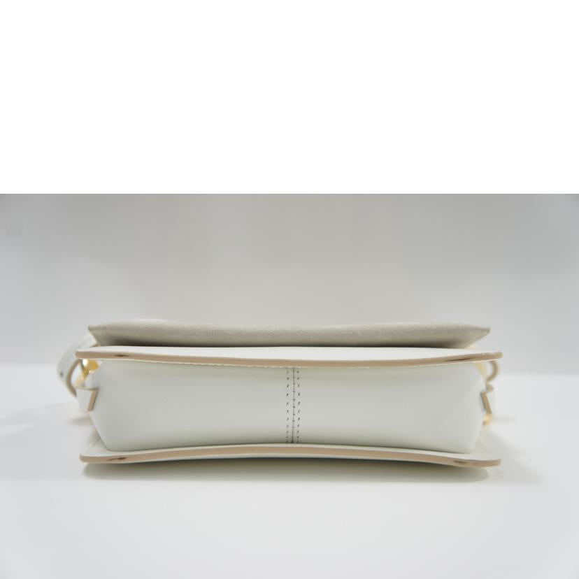 CAROLINA SANTO DOMINGO カロリーナサントドミンゴ/2WAYミニショルダーバッグ//ABランク/75