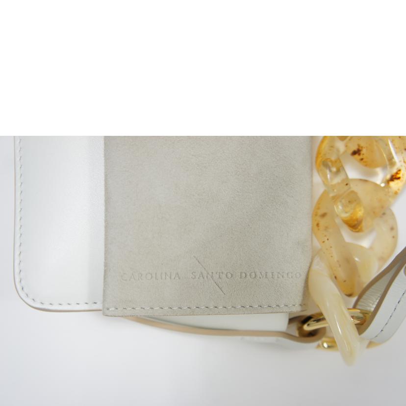 CAROLINA SANTO DOMINGO カロリーナサントドミンゴ/2WAYミニショルダーバッグ//ABランク/75