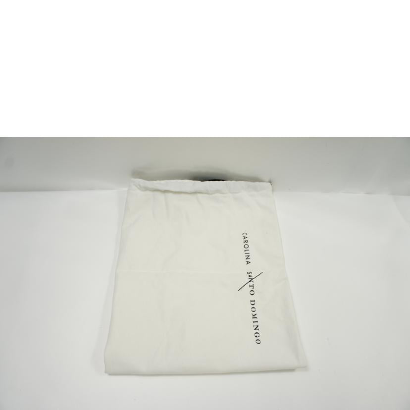 CAROLINA SANTO DOMINGO カロリーナサントドミンゴ/2WAYミニショルダーバッグ//ABランク/75