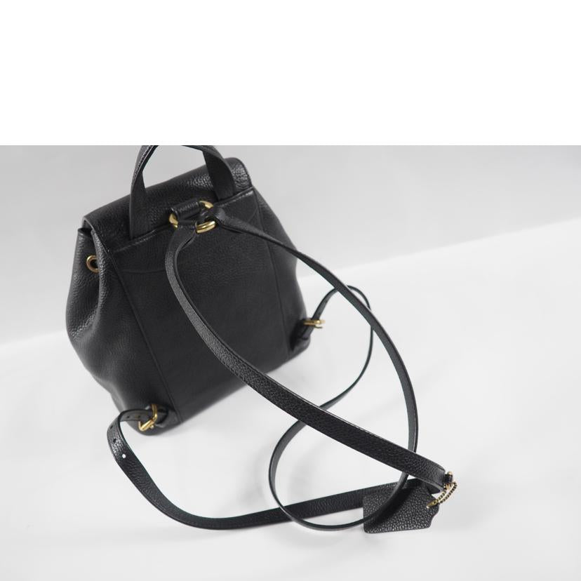 COACH コーチ/レザー巾着リュック/68555//E19**/Aランク/79