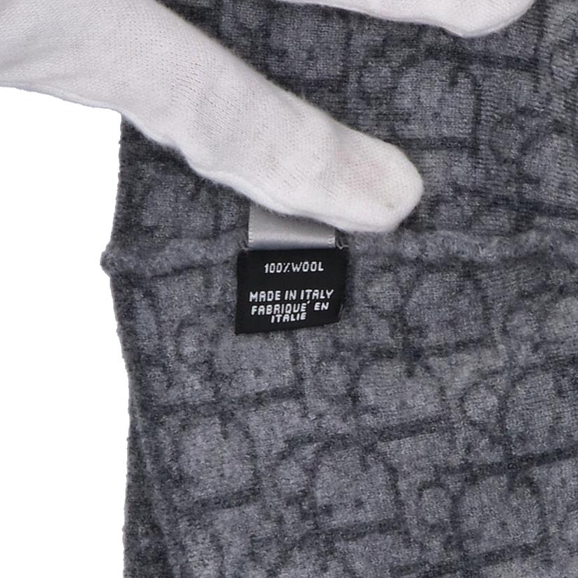 Dior ディオール/ ウールニット帽 グレー //Aランク/75