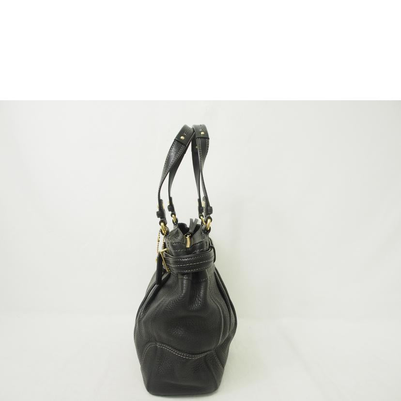 COACH/ハンプトンズレザーキャリーオール/ショルダー/12476//E0873/Aランク/78