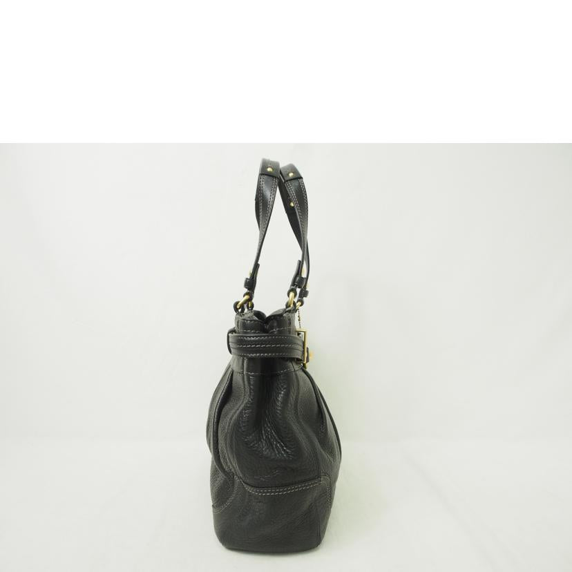 COACH/ハンプトンズレザーキャリーオール/ショルダー/12476//E0873/Aランク/78