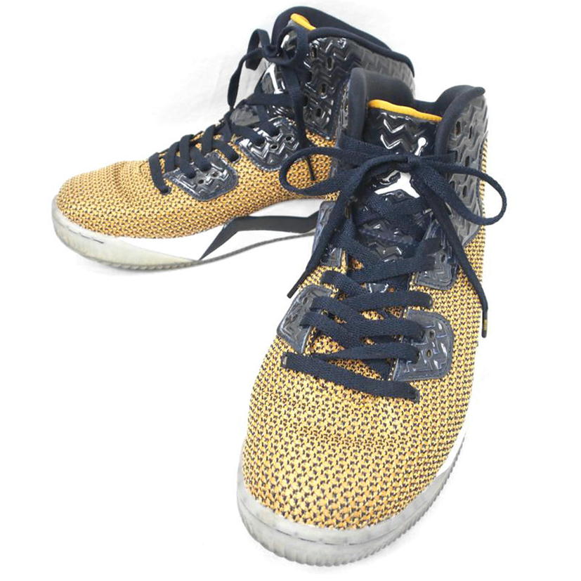 NIKE ナイキ/AIR JORDAN SPIKE FORTY/819952-706//ABランク/78