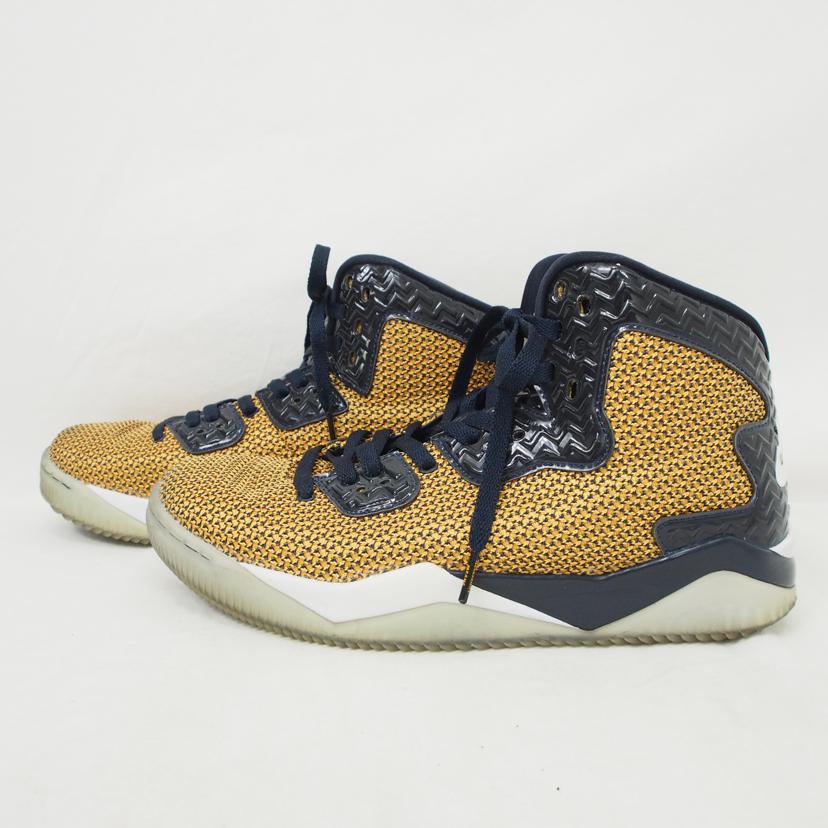 NIKE ナイキ/AIR JORDAN SPIKE FORTY/819952-706//ABランク/78