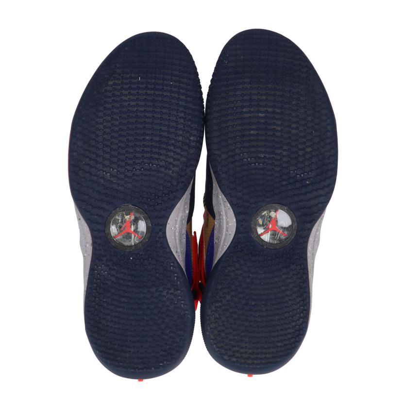 NIKE ナイキ/AJ XXXⅢ PF/BV5072-200//27.5cm/Bランク/03