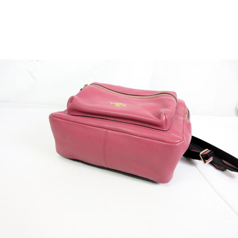 COACH コーチ/レザーバックパック/F30550//L18**/Bランク/70
