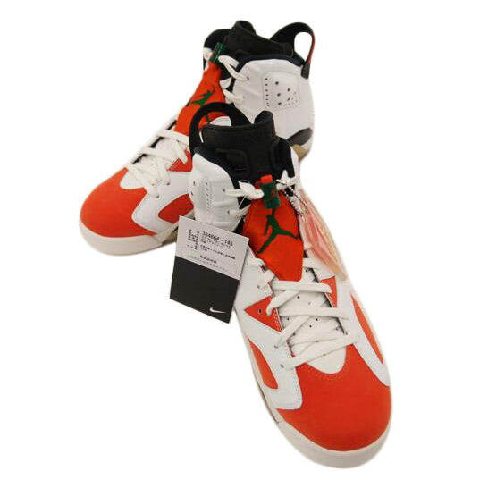NIKE ナイキ/NIKE AIR JORDAN 6RETRO /384664-145//Sランク/69