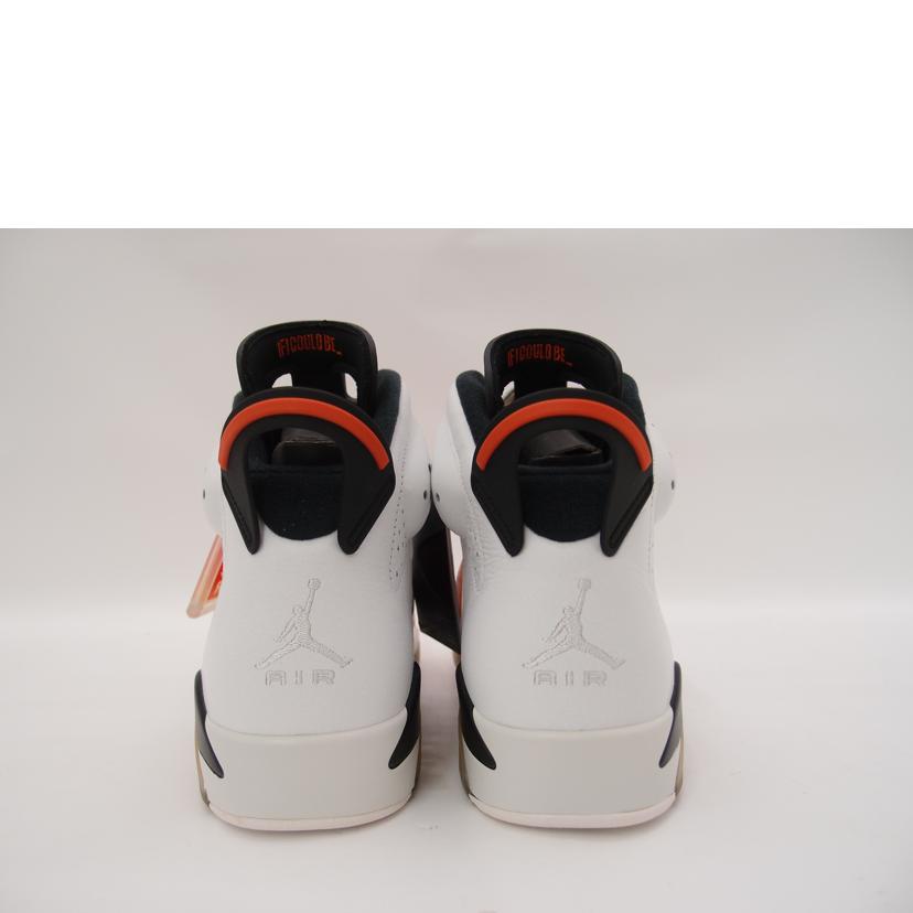 NIKE ナイキ/NIKE AIR JORDAN 6RETRO /384664-145//Sランク/69