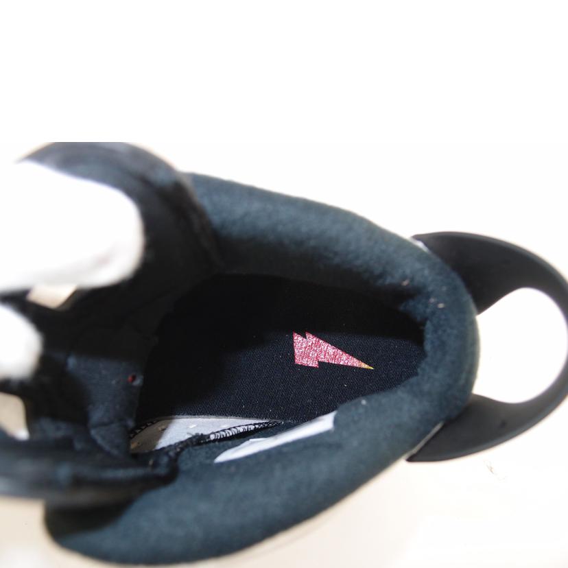 NIKE ナイキ/NIKE AIR JORDAN 6RETRO /384664-145//Sランク/69