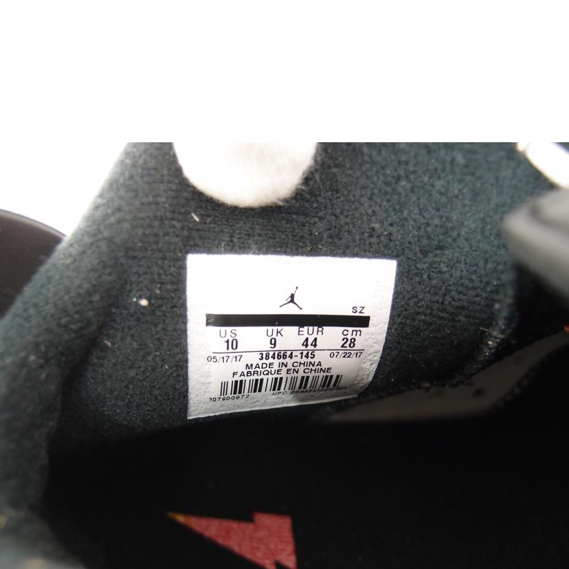 NIKE ナイキ/NIKE AIR JORDAN 6RETRO /384664-145//Sランク/69