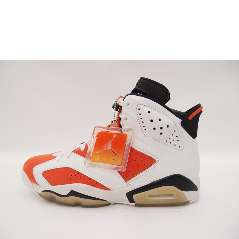 NIKE ナイキ/NIKE AIR JORDAN 6RETRO /384664-145//Sランク/69