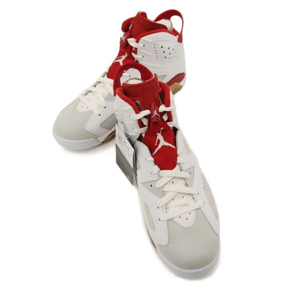 NIKE ナイキ/NIKE AIR JORDAN 6 RETRO /384664-113//Sランク/69