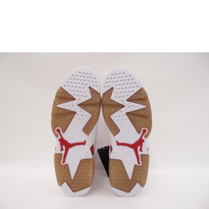NIKE ナイキ/NIKE AIR JORDAN 6 RETRO /384664-113//Sランク/69