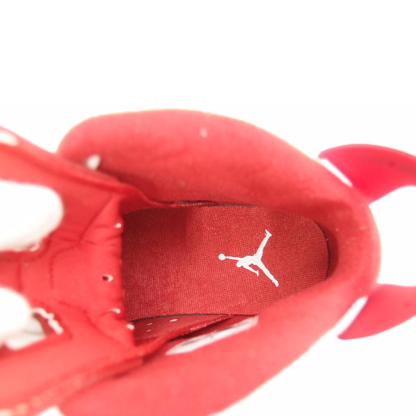 NIKE ナイキ/NIKE AIR JORDAN 6 RETRO /384664-113//Sランク/69