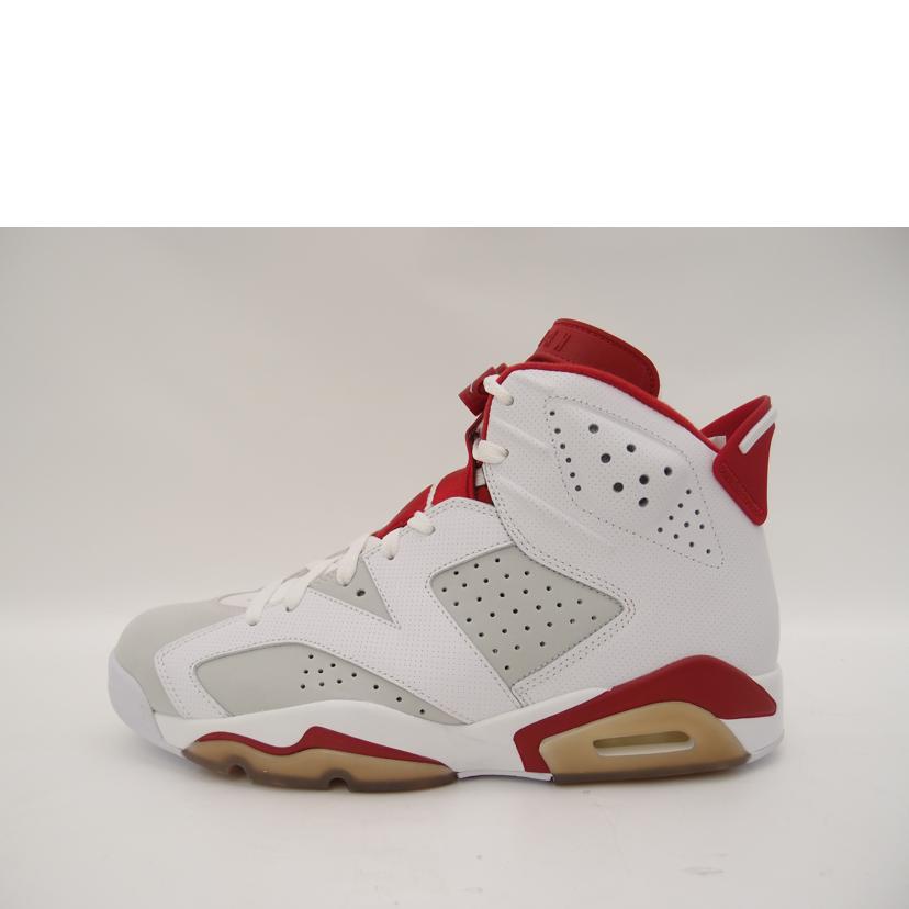 NIKE ナイキ/NIKE AIR JORDAN 6 RETRO /384664-113//Sランク/69