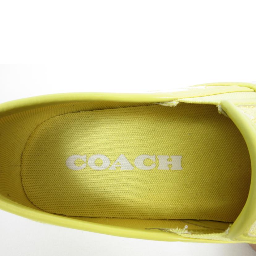 COACH コーチ/COACH シグネチャースリッポン 25.5cm/C8958//ABランク/70
