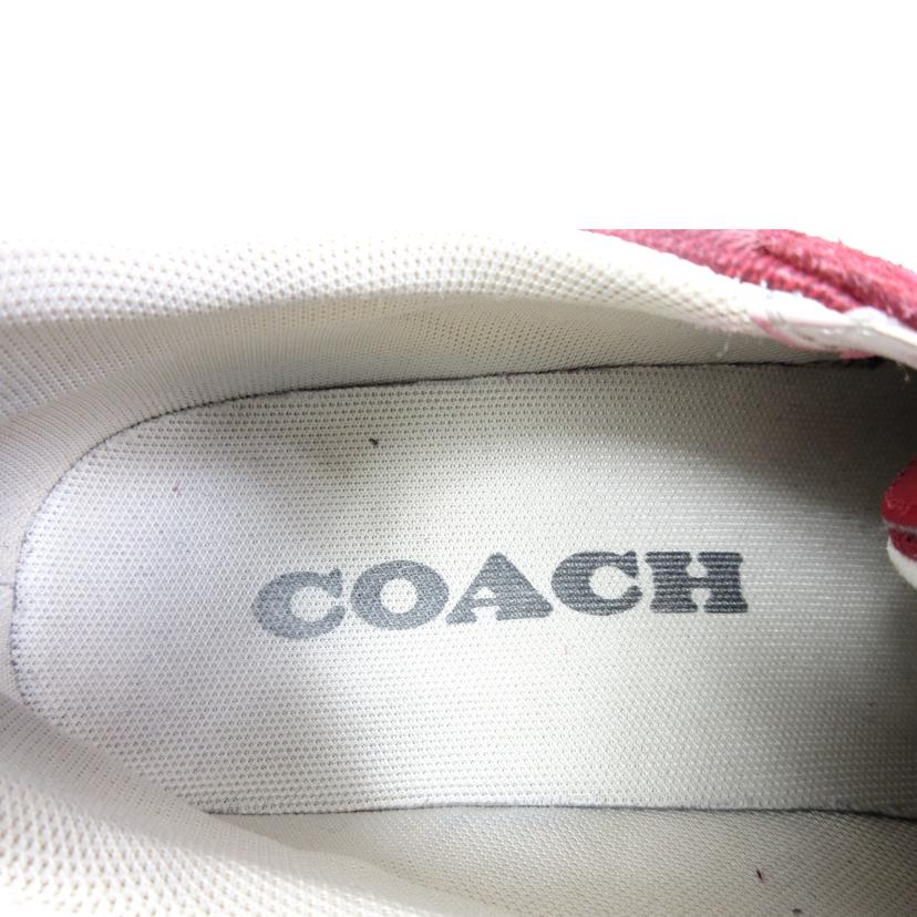 COACH コーチ/シグネチャー シティソールスニーカー 25.5cm/C1573//ABランク/70