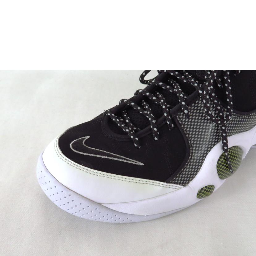 NIKE ナイキ/AIR ZOOM FLIGHT 95 SE スニーカー/806404-001//ABランク/81