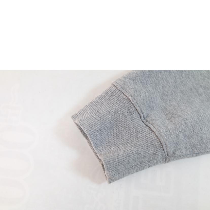 THE NORTH FACE ノースフェイス/リアビュースウェットフルジップ/NT11530//BCランク/71