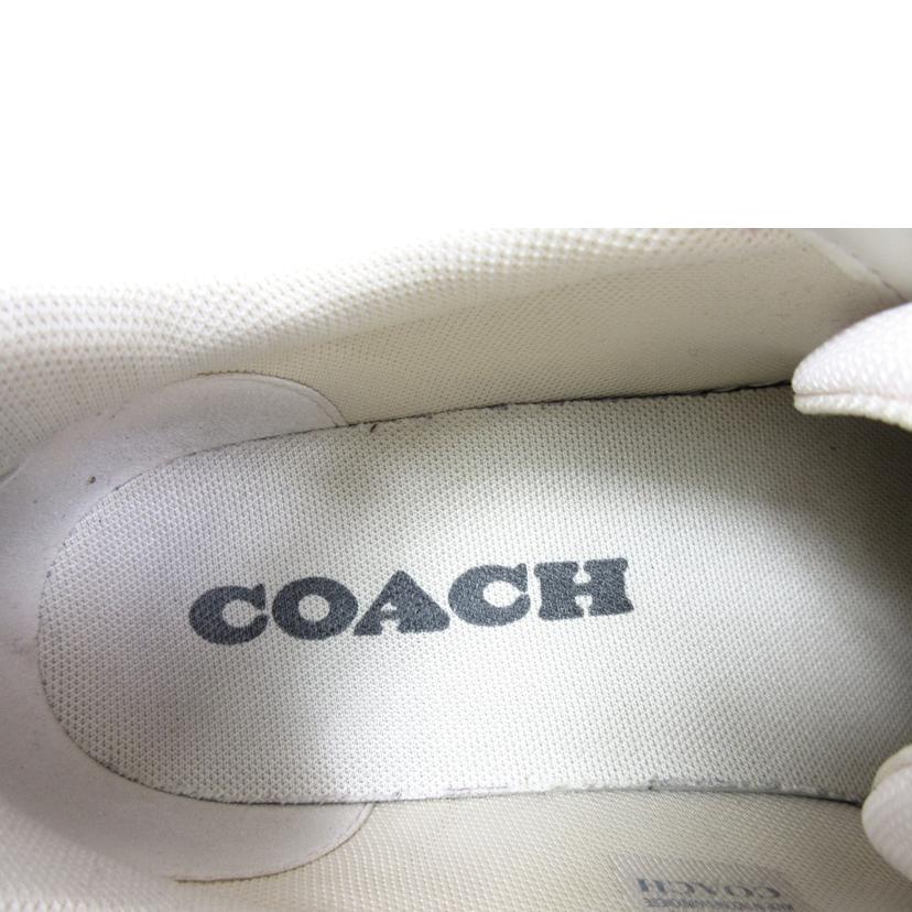 COACH コーチ/COACH レザースニーカー 25.5cm/C8809//ABランク/70