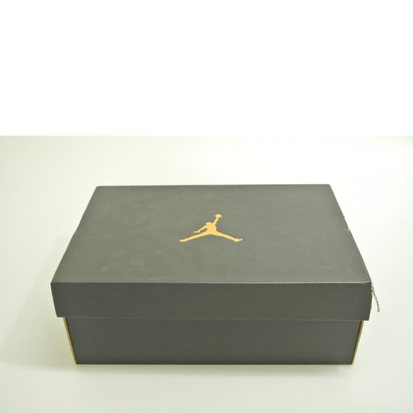 NIKE ナイキ/AIR JORDAN 1 LOW SE/CK3022-503//SAランク/87