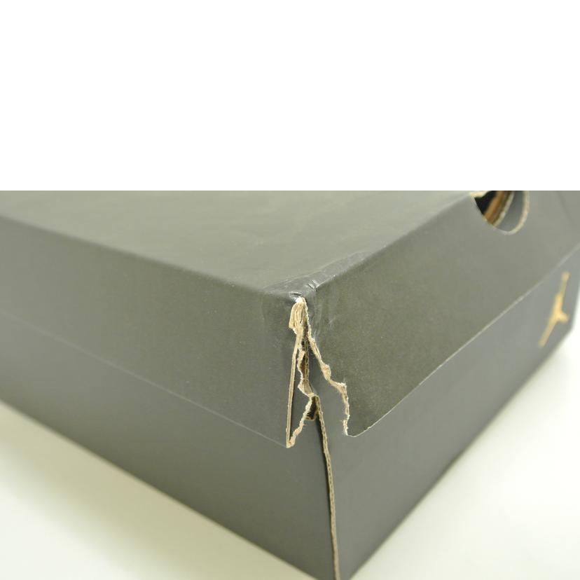 NIKE ナイキ/AIR JORDAN 1 LOW SE/CK3022-503//SAランク/87