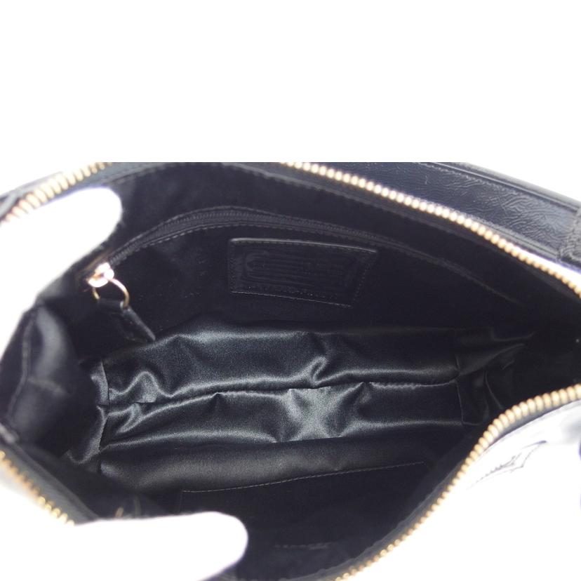 COACH コーチ/デイジーポピー/2WAYショルダーバッグ/ブラック/F20017//H1282/Aランク/04