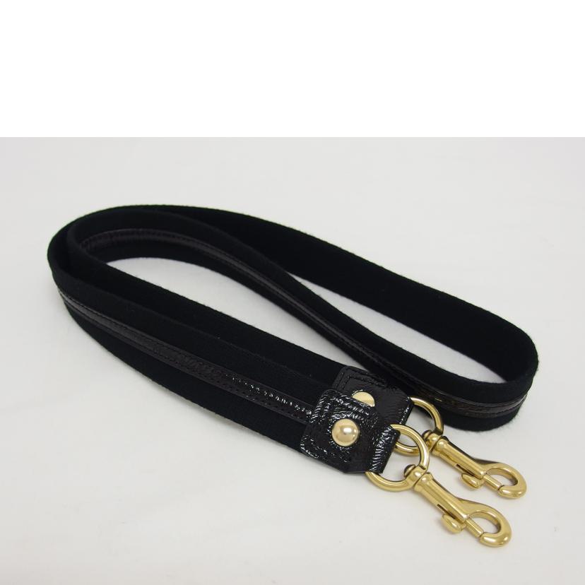 COACH コーチ/デイジーポピー/2WAYショルダーバッグ/ブラック/F20017//H1282/Aランク/04