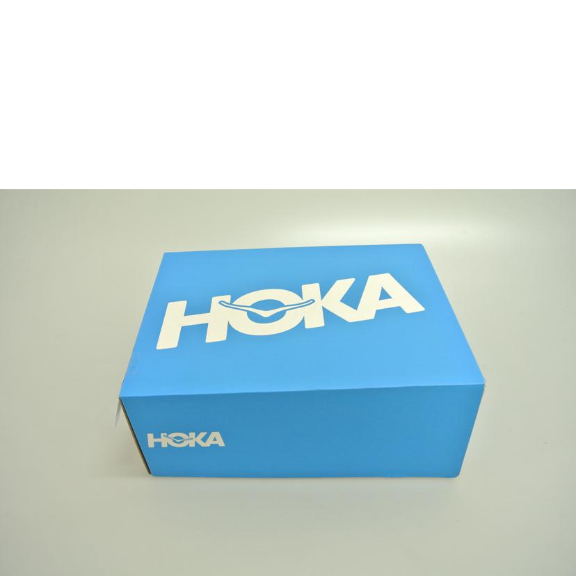 HOKA ONE ONE ホカオネオネ/M CARBON X2/1113526 DSFS//SAランク/87