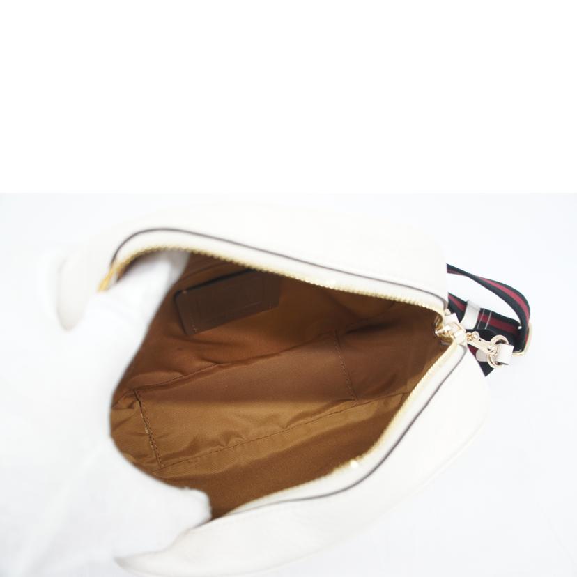 COACH コーチ/テンプシーカメラバッグ/C2828//B2122/Bランク/05